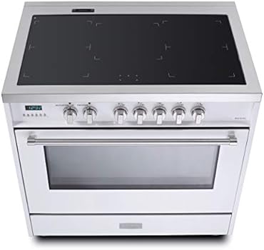 24 inch freestanding induction range