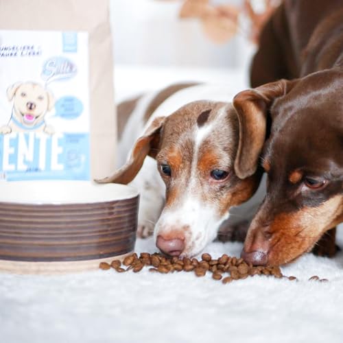 Sollis Trockenfutter Mini Hund | Getreidefrei | Zuckerfrei | Ente | Trockenfutter für kleine Rassen | 2kg