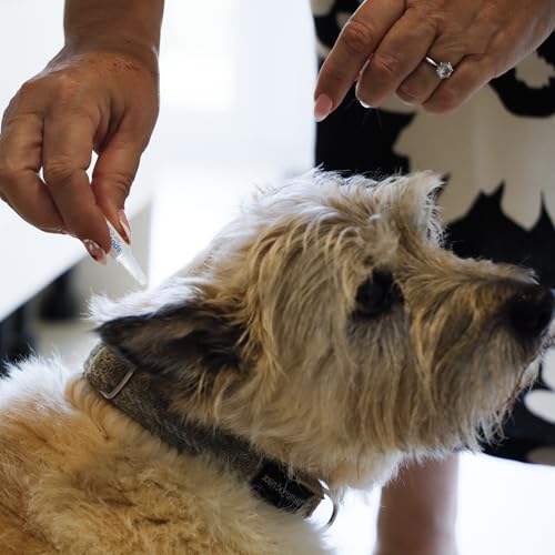 2 Spot On For Dogs Flea & Tick Repellent - 2 Tubes, Pet Grooming Kit Repel, Up To 4 Weeks Insect Treatment, Kills Fleas Ticks Lice, Puppies, Supplies, Pet Accessories - Image 3