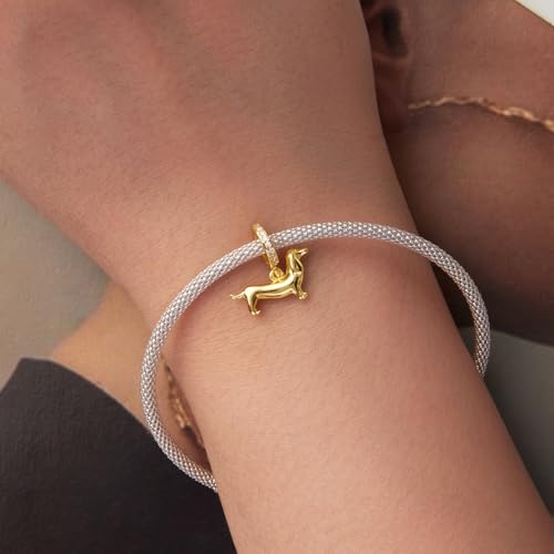 Image of MUNDELL Conch Bead Charm Dachshund Dala Horse Pendant Charm Bird Sun Charm for Original Charm Bracelet or Bangle