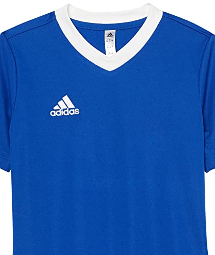 Adidas Kids' Entrada 22 Jersey, Team Royal Blue, X-Small #TOP1