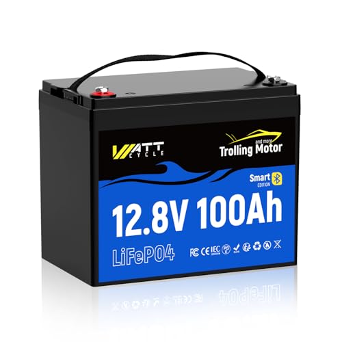 Image of WattCycle 12V 100Ah LiFePO4 Battery, Group 24 Lightweight Lithium Battery with 120A Smart BMS, IP67 Waterproof, Bluetooth Monitoring Battery for RV, Boat, Solar, Off-Grid Backup Power