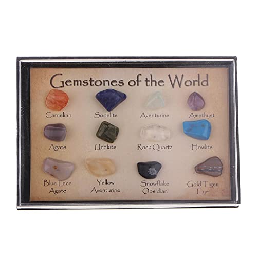 dovewill 15 piezas gemas de el mundo minerales muestra decoración del hogar de los niños regalo Cover