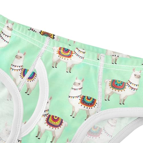 CHIFIGNO Underwear for Boys Cute Llama Green Cotton Boy Briefs Printed Soft Underwear Briefs4