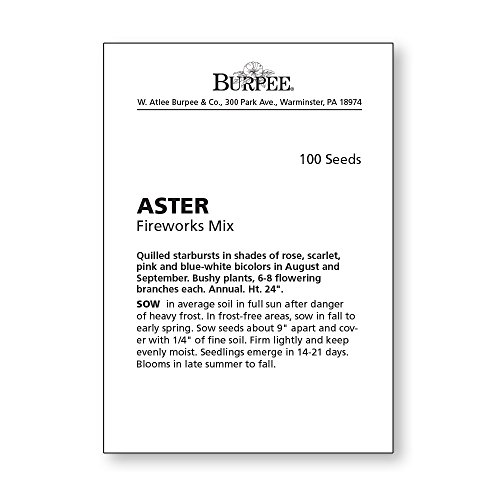 Burpee Fireworks Mixed Aster Seeds 100 Seeds #TOP2