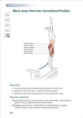 Swimming Anatomy - Image 4