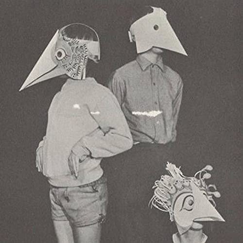 The bird flew out the window. I'm sorry