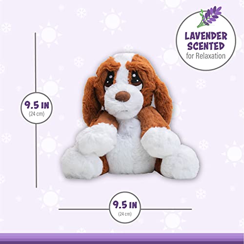 Warm Pals - Hound Dog - 1.5Lbs - Cozy Microwavable Lavender Scented Plush Toys - Heated Stuffed Animal - Heatable Coolable Bedtime Comfort Plushie #TOP4