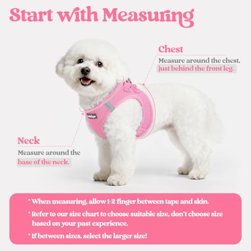 Image of rabbitgoo Dog Harness Medium Sized and Leash Set, Step-in Puppy Pet Vest