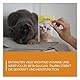 GimCat Multi-Vitamin Tabs - Funktionaler Katzensnack unterstützt Immunsystem, Herz und Augen - 8er Pack (8 x 40 g)