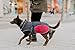 HUNTER Hundemantel Uppsala Allrounder, Farbe: anthrazit/rot, Wasser- und windabweisend, herausknöpfbares Innenfutter, reflektierende Paspeln, elastische Fixiergummis, optimaler Sitz, Größe: 55