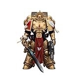 【Figurines de la collection】- Blood Angels Sanguinary Guard