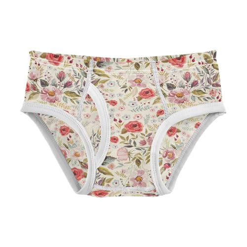Boys' Exclusive Briefs Toddler Underwear 95% Combed Cotton Boxerbriefs 2T Rose Pattern 47