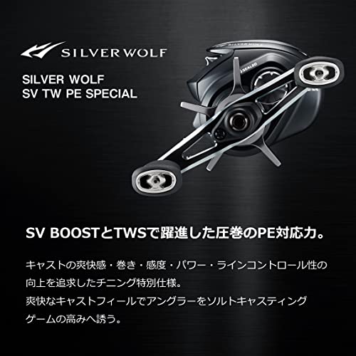 DAIWA Bait Reel 22 Silver Wolf SV TW 1000XHL PE Special (2022