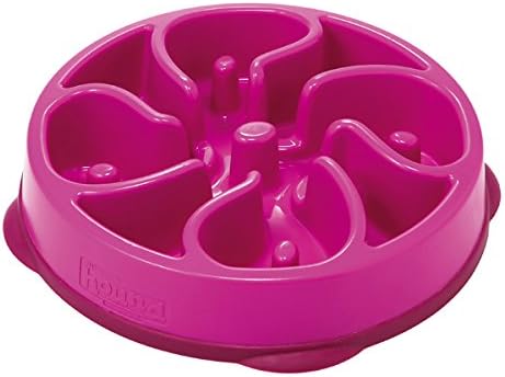 Outward Hound Fan & Slow Feeder Bowl, Purple