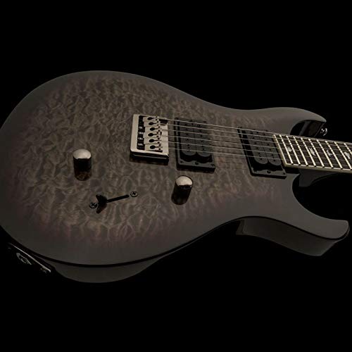 PRS Paul Reed Smith SE Mark Holcomb Guitare électrique avec housse Holcomb Burst - Les Beatles, Paul McCartney, John Lennon, RIngo Starr, George Harrison PRS Paul Reed Smith SE Mark Holcomb Guitare électrique avec housse Holcomb Burst – Image 4