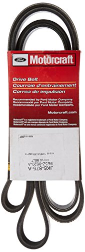 Courroie d'entraînement Motorcraft JK6875A accessoire auto de rechange