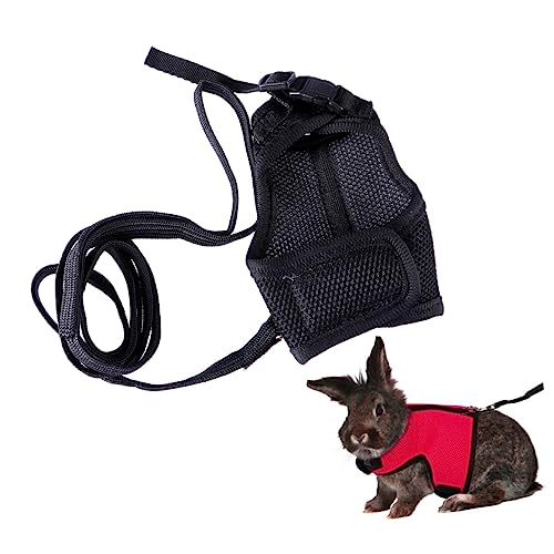 Sosoport ETM̃n[lX[V[h Ci[ X [h̍ ݎ̌̍  LA P[W bg ̃XO ˂ e [v [V[h