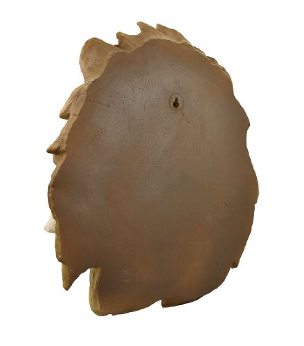 Dwk Gold Lion Head Wall Mounted Faux Taxidermy Animal Bust | African Animal Masks Wall Decor | Wall Sculpture Bust Statue | Lion Sculptures Home Decor - 16" #TOP3