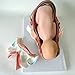 Teaching Model Tools,Pregnant Embryo Female Term Fetus Delivery Process Birth Fetus Baby Three-Piece Set Obstetrics and Gynecology Teaching Demonstration Baby in The Pelvic Uterus