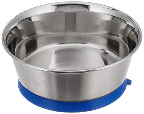 Choostix Choostix Dog and Cat Feeding Stainless Steel Bowl, Anti-Skid & Silicon Base, Vaccum, Blue 13cm, 450ml, 100 g (B07QYSQTGT) Amazon Price History, Amazon Price Tracker