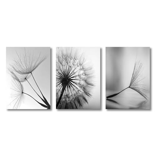 Tableaux noir et blanc pissenlit toile décoration murale grand format