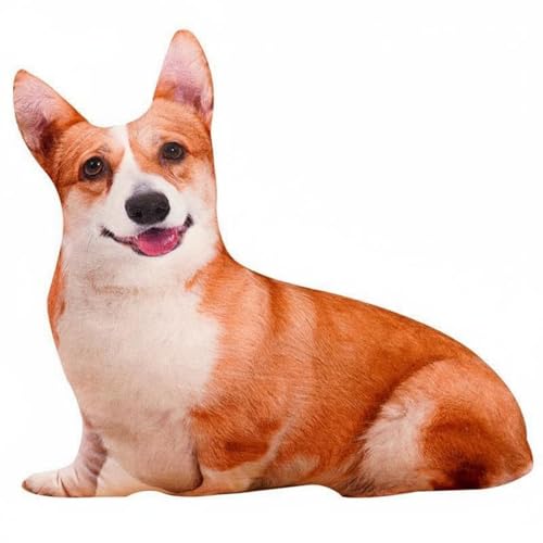 Coussin canapé chien corgi peluche douce géante pour décorer une chambre