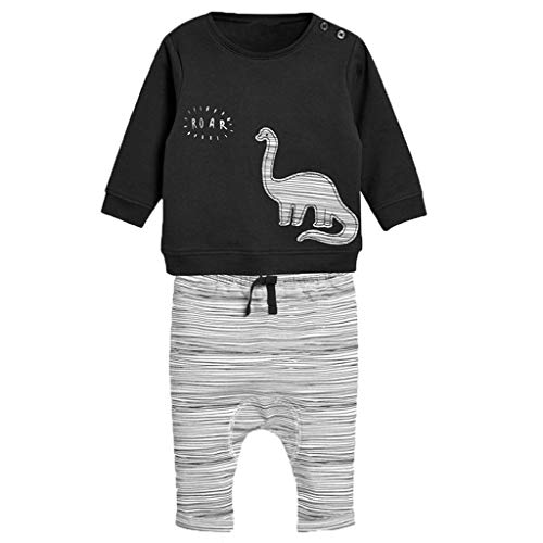 Hmlai Clearance Newborn Baby Boys Girls Outfits Cartoon Animal Print Long Sleeve Tops Dinosaur Pants Cotton Pajama Set (0-6 Months,Black)