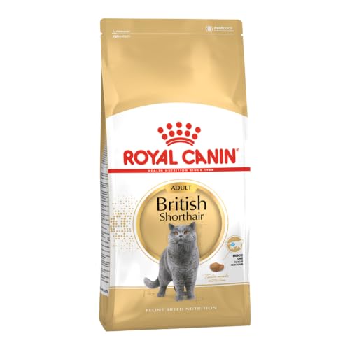 ROYAL CANIN British Shorthair Adult Trockennahrung für Katzen – 0.4 kg