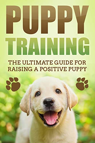 positive reinforcement potty training dog