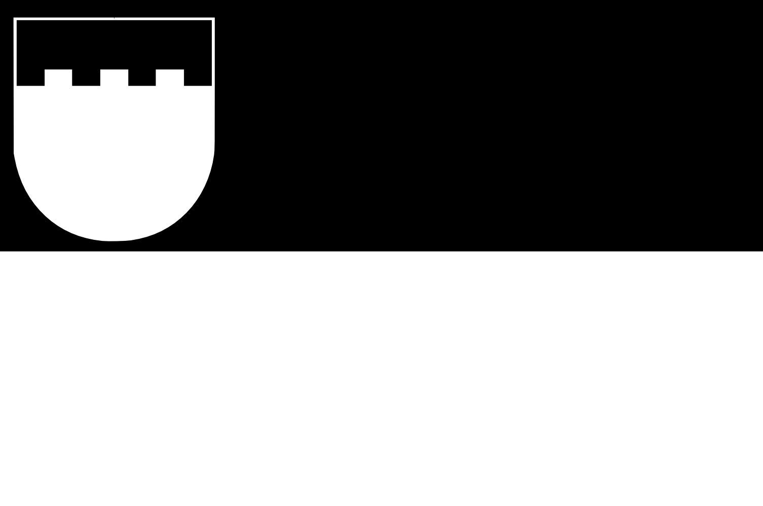 Drapeau Zeist 1938-1971 grand format pour mât extérieur historique