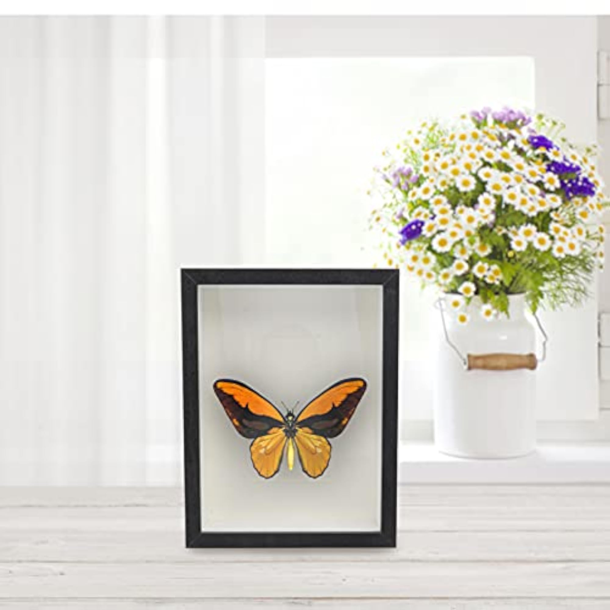 Black Shadow Box Frame for Dried Flower Display