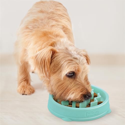 Outward Hound Antischlingnapf Hunde - Slow Feeder Hundenapf für Welpen und Katzen, für mehr Fressspaß und langsameres Fressen, beugt Blähungen vor, Rutschfester Futternapf, Größe Klein (Minze)