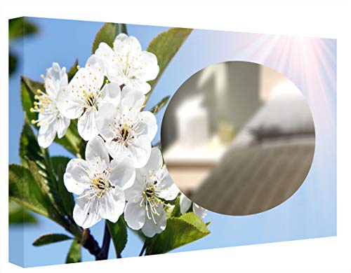 CCRETROILUMINADOS Flor de Jazmín Espejo Decorativo retroiluminado, Metacrilato, Multicolor, 60 x 80