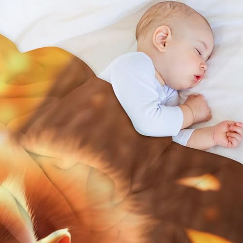Couverture écureuil mignon en flannel pour des soirées cocooning devant la télé - 5
