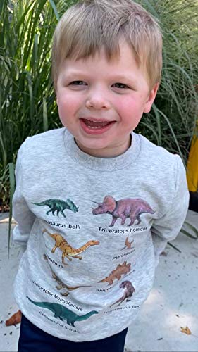Image of Akyzic Boys Sweatshirts Cotton Long Sleeve Crewneck Pullover Toddler Kids Winter Warm Shirt Sweater Tops 3t-8t