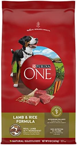 Purina ONE Dry Dog Food Lamb and Rice Formula - 8 lb. Bag