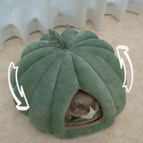 Grotte pour animaux de compagnie lit fermé chats d'intérieur