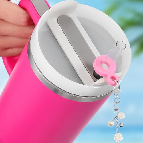 Décorations de paille compatibles avec Stanley pour ne plus mélanger vos verres - 7