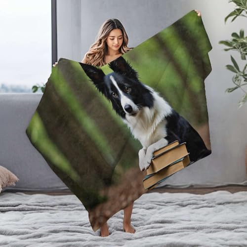 Couverture imperméable chien pour protéger lit et canapé des taches