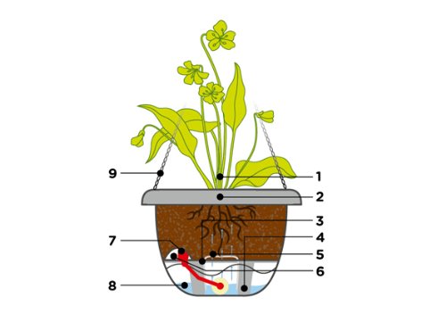 Schumm Blumenampel Mareta, 25 cm Durchmesser – Ansicht 3