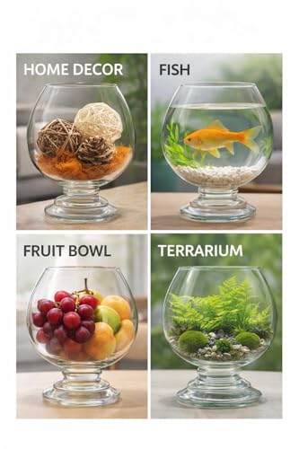 Image of Glass Fish Bowl /Terrarium Wine Cup Shape Clear Glass Aquarium for Fish, Plants & Pebbles, Decorative Centerpiece for Home, Living Room, Office & Balcony (8 Inch)