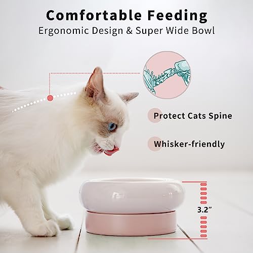 Ms!Make Sure Cat Bowls, Ceramic Cat Food Bowl, Shallow Elevated Design For Whisker Fatigue Relief, Anti-Vomiting, Protect Spine, Perfect For Indoor Cats (Pink) #TOP2