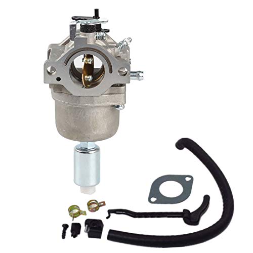 Carburateur pour Briggs & Stratton 791858 régulant le flux d'essence