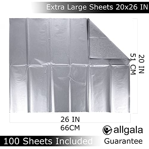 Allgala 100 folhas 50 x 66 cm papel crepe artesanato prata -GP51004