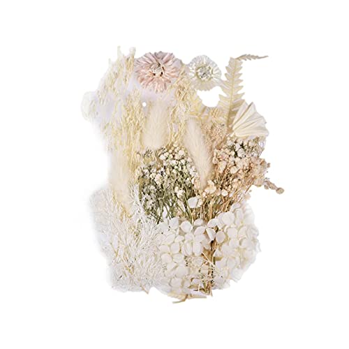 YPeng Flores secas prensadas para resina, flores secas naturais misturadas em volume para joias, vel