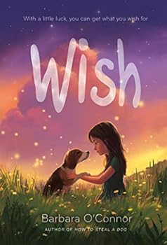by Barbara O'Connor Wish Paperback – August 29, 2017 (1250144051) (9781250144058)