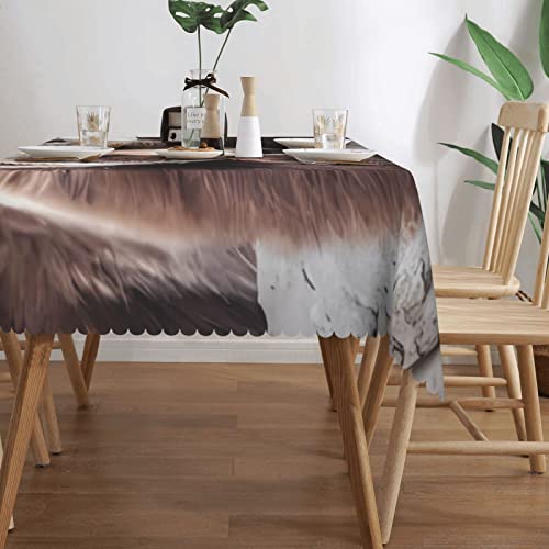 Nappe rectangulaire lavable imprimée ours bruns salle à manger - 4