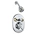 Delta T18230-CB Shower System