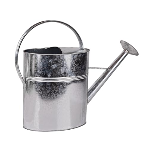 Dema Metall Gießkanne Victoria 10 Ltr. verzinkt Metall mit Brause Bewässerungskanne Wasserkanne Gießgerät Gießgefäß